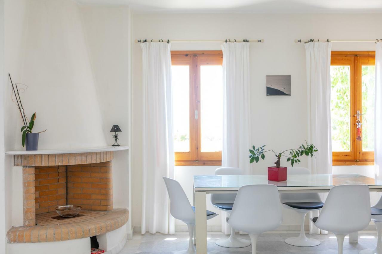 Apanemi Beachhouse Naxos City 외부 사진